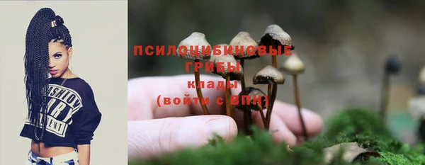 МДПВ Армянск
