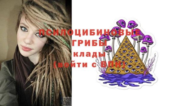 МДПВ Армянск
