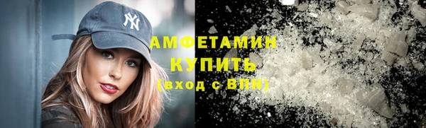 гидра Арсеньев